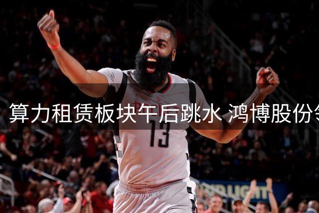 算力租赁板块午后跳水 鸿博股份领跌近9%
